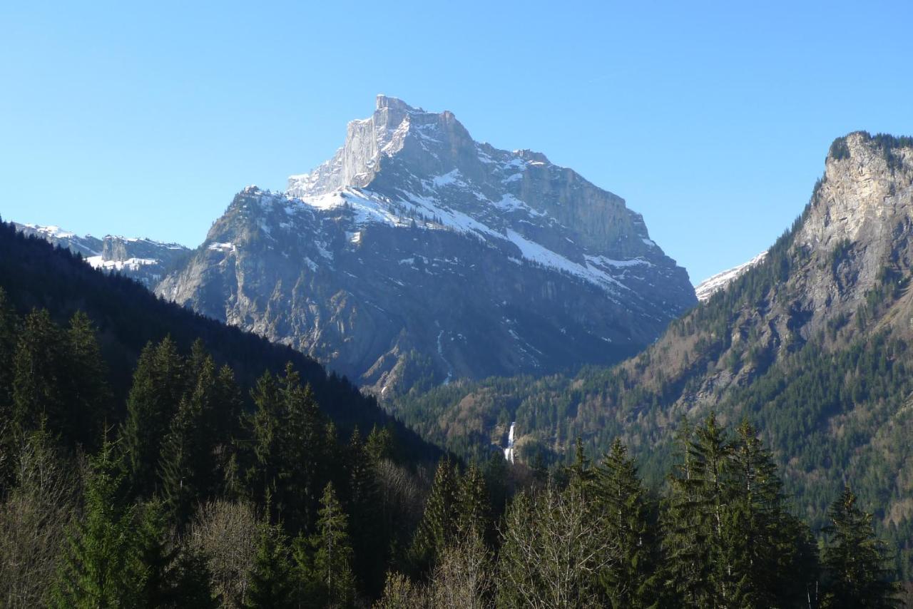 Chalet*** Au Pied D'Une Prairie Face A La Montagne Sixt-Fer-a-Cheval Exterior photo
